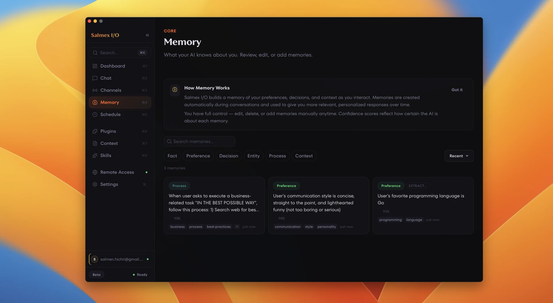 Salmex I/O memory browser showing Process, Preference, and fact cards with confidence scores, tags, and type filters