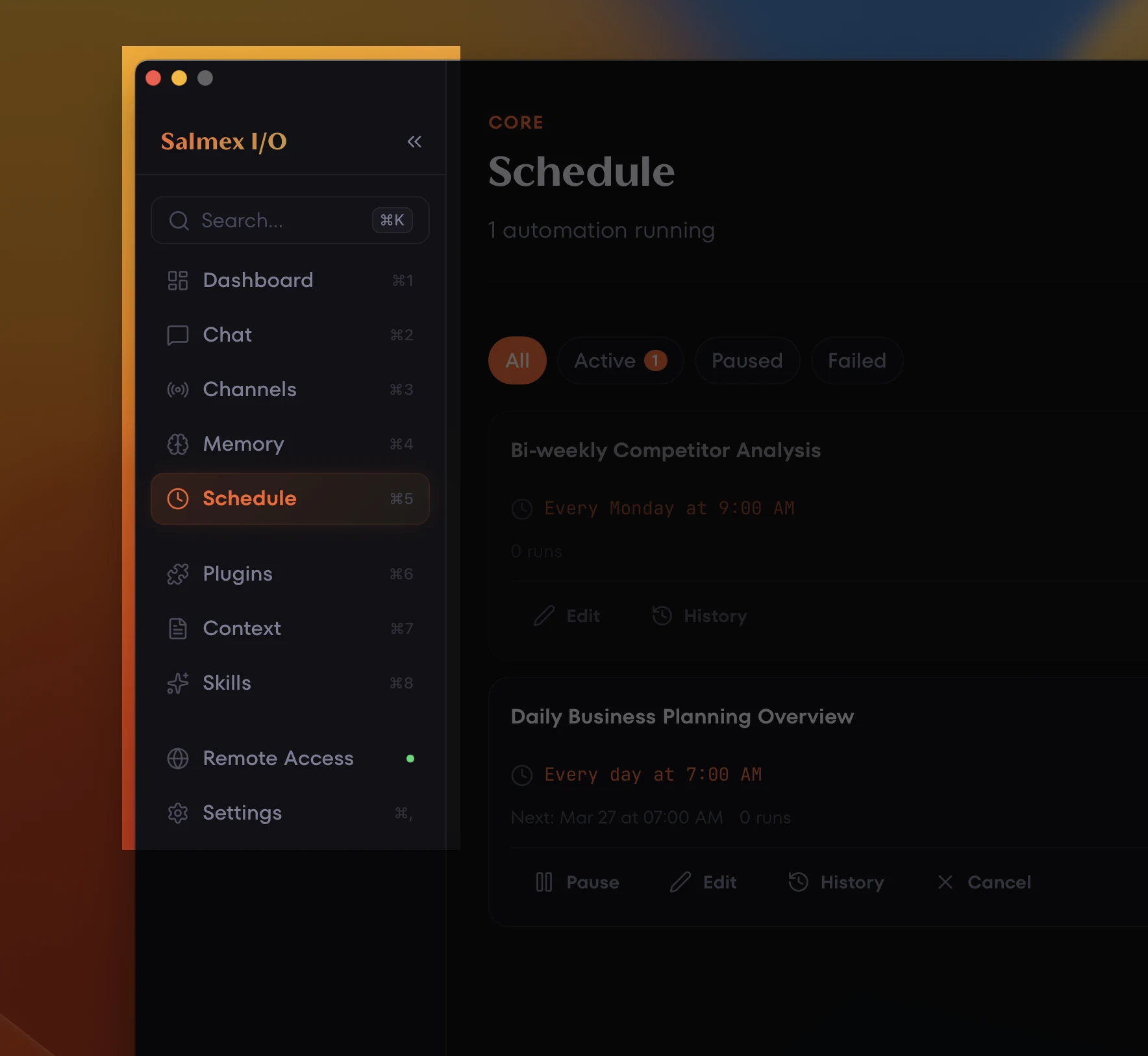 Salmex I/O sidebar showing all navigation sections — Dashboard, Chat, Channels, Memory, Schedule, Plugins, Context, Skills, Remote Access, and Settings