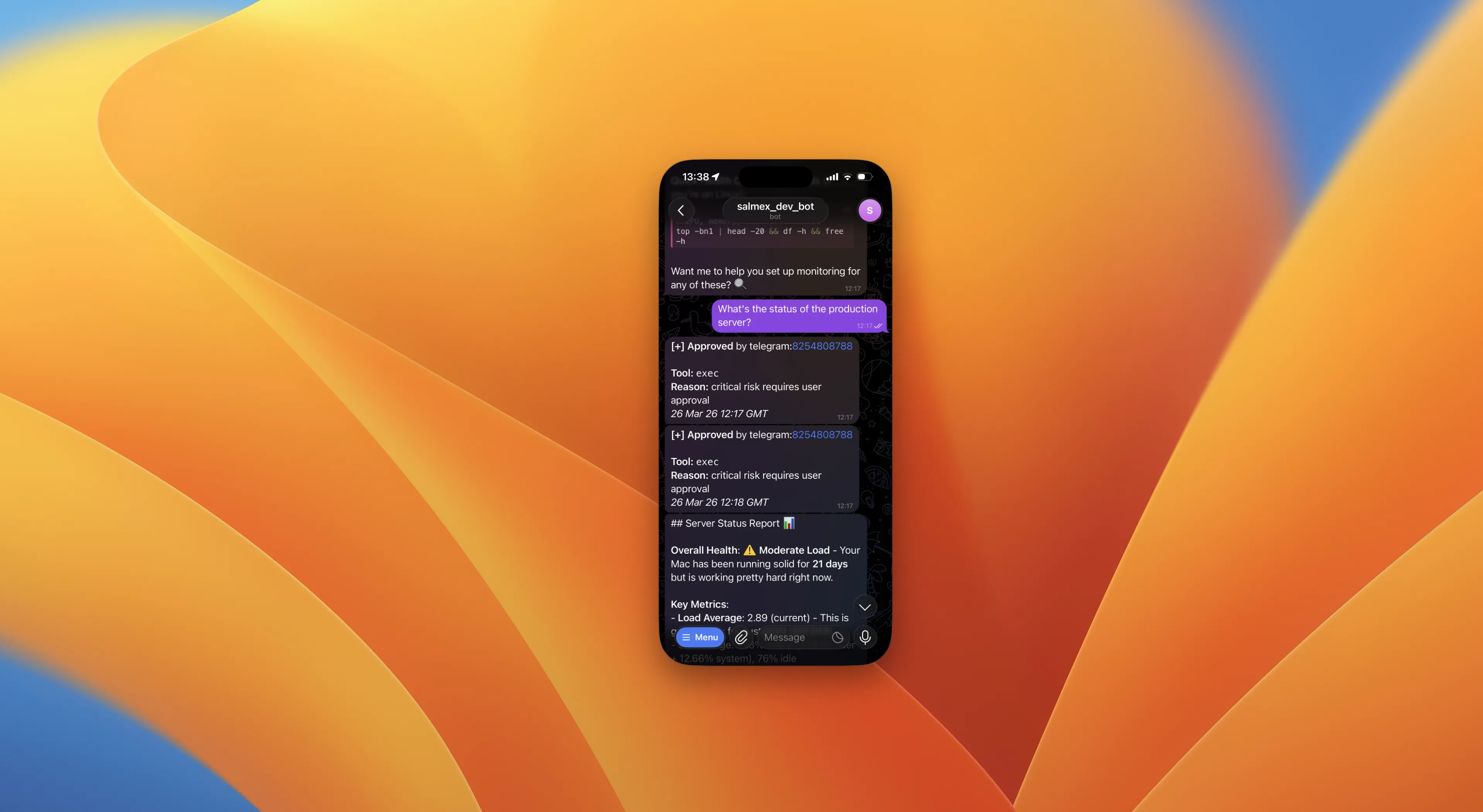 Telegram conversation with salmex_dev_bot showing a server status check, tool approval messages, and a Server Status Report with health metrics